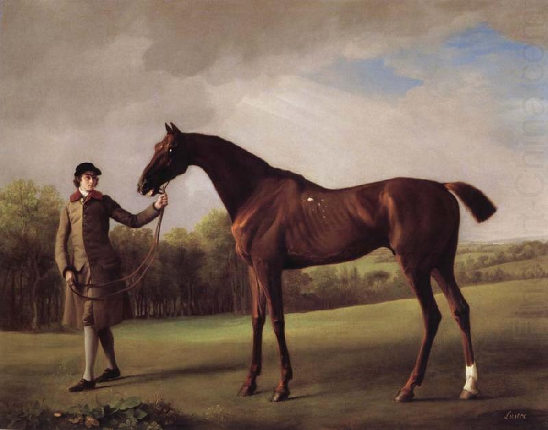 George Stubbs Lustre hero by a Groom china oil painting image